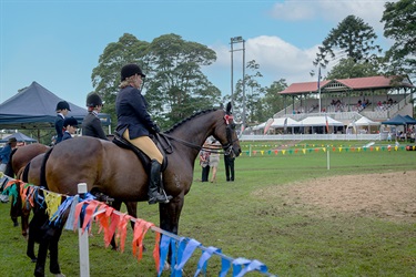 Dressage Event