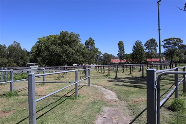 Livestock Yard
