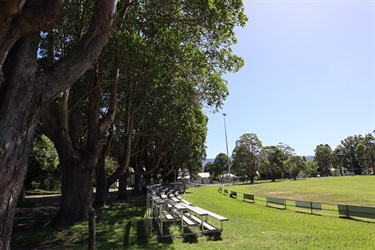 Arena Seating