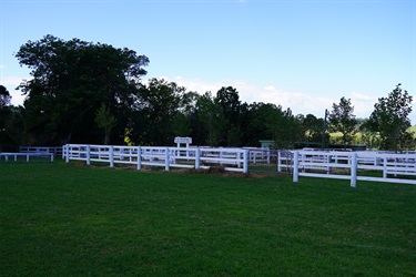 Judging Arena