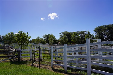 Livestock Yards