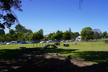 Dog Agility Park