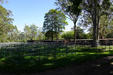 Livestock Yards