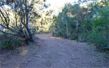 Bherwerre -Track clearing along Cockrow Creek