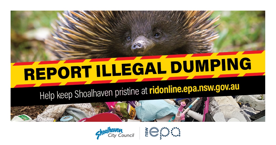 Report Illegal Dumping - Echidna.jpg