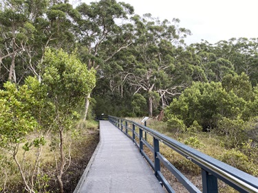 Northern boardwalk link