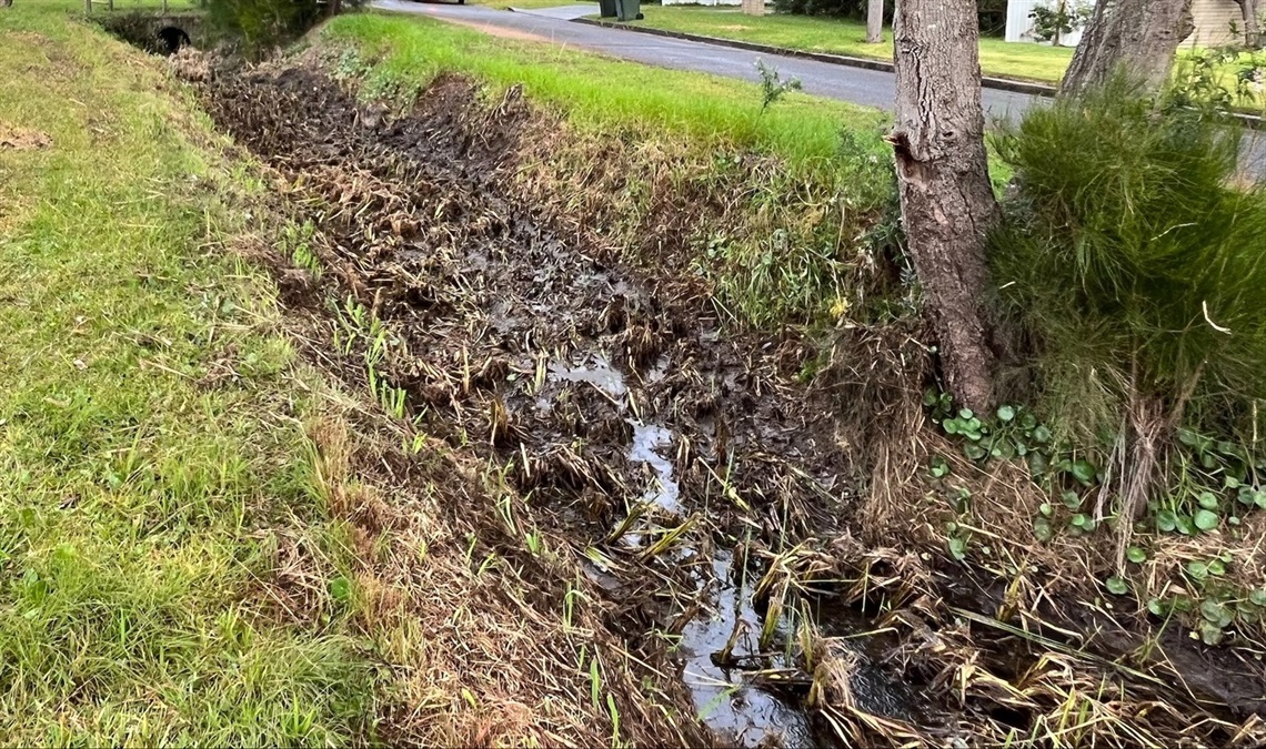 culburra drain crop.jpeg