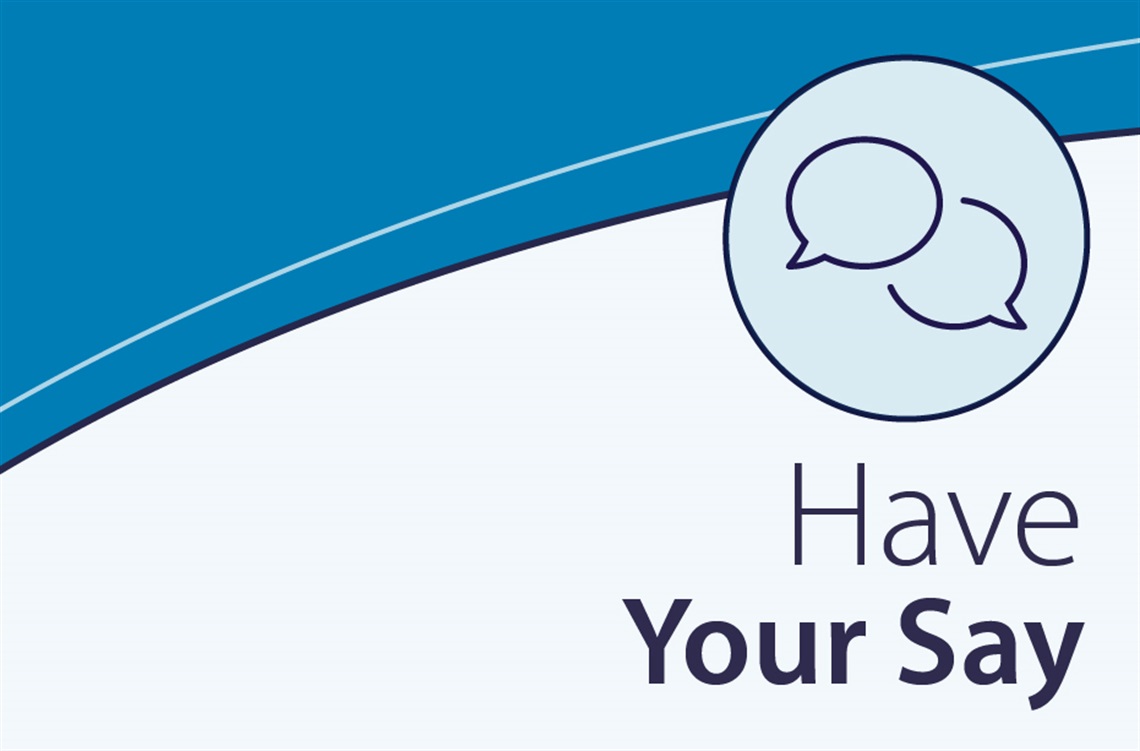 Have your say web banner.png