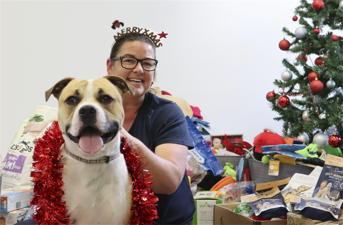 keeping-pets-safe-new-years-eve-shoalhaven.png