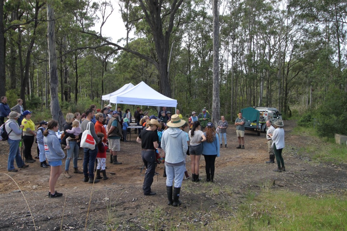 worrigee-spring-day-shoalhaven.jpg