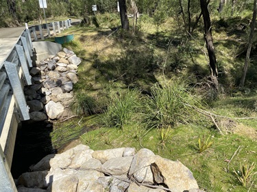 Bridge-Creek-Completion-Photo-Revegetation.jpg