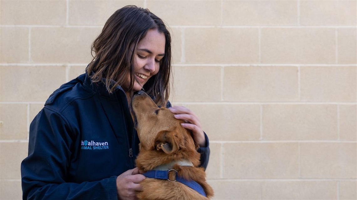 shoalhaven-animal-shelter-Sam and Boots-Valentines-Day.jpg