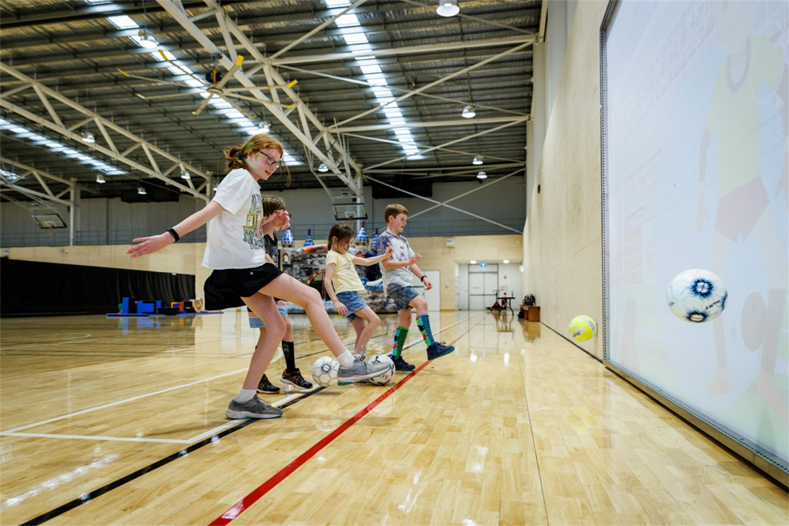 sisc-multi-ball-screen.png