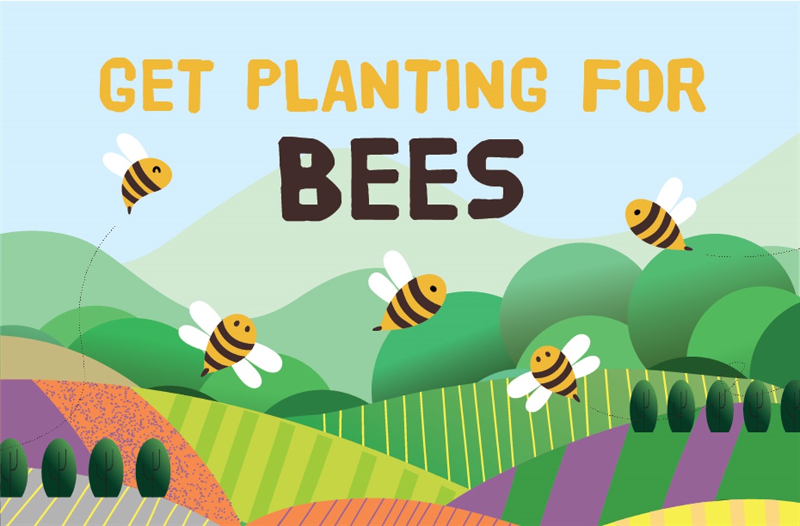 World-Bee-Day-plant-promotion.jpg