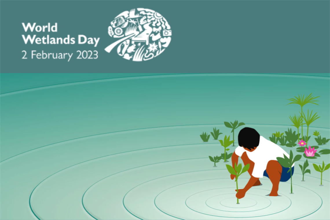 World Wetlands Day (1).png
