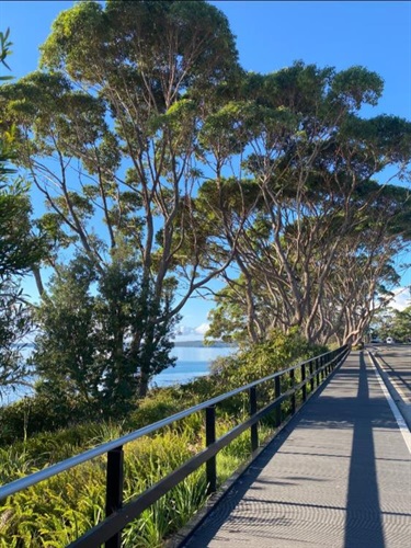 Cyrus-St-Pedestrian-Path-Boardwalk