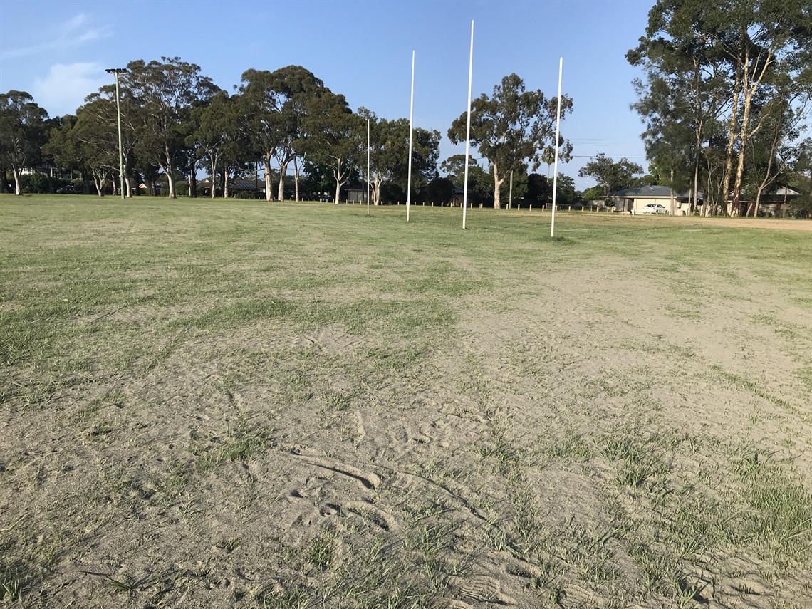 Sportsfield Topdressing.JPG