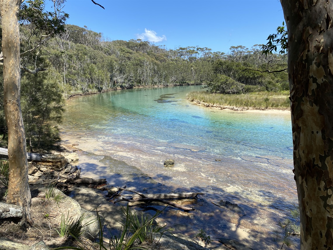 Willinga Lake - Site Photo.jpg