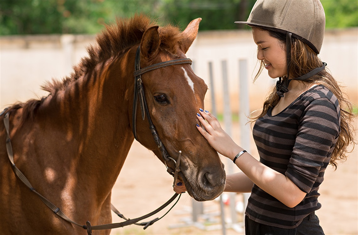 Young girl wearing a riding helmet patting face of brown pony