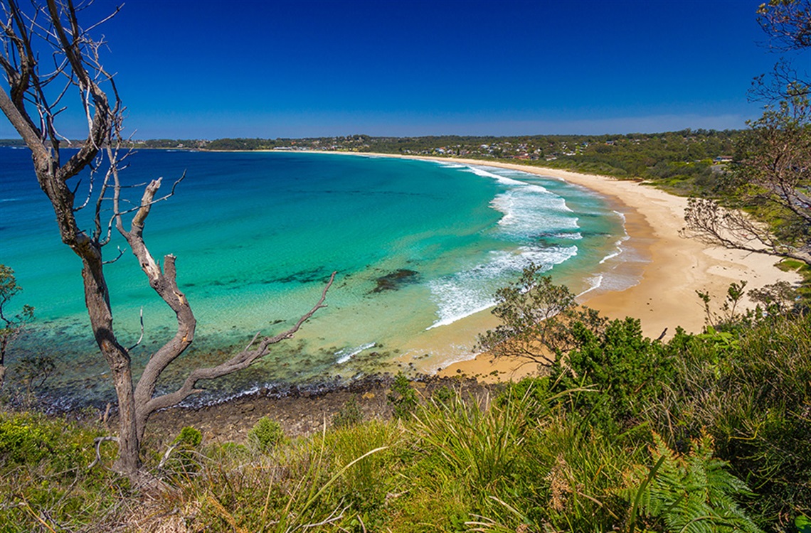SCC-Website_Open-coast-jervis.jpg