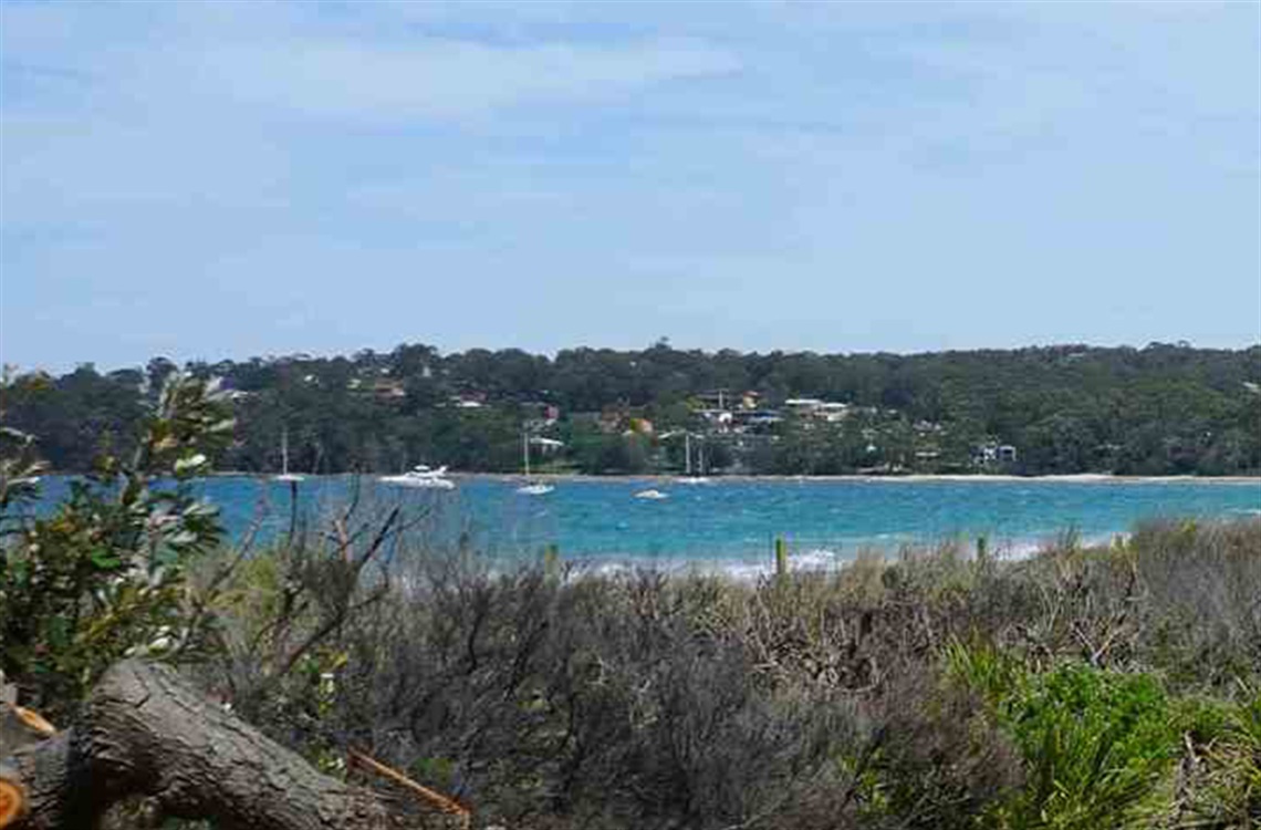 Sand dunes and vegetation with calm ocean in the distance 