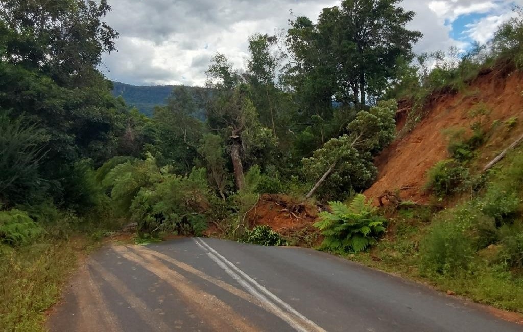 Wattamolla Rd - Madi - 7 April 2024.jpg