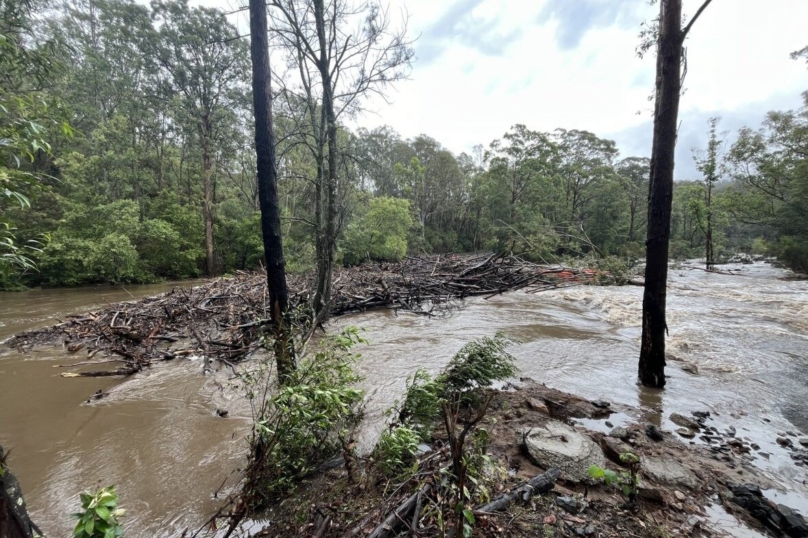 Yarramunmun Firetrail damage 3-Aaron - 30Nov23.jpg