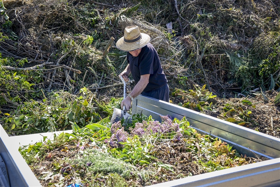 Three for Free! Garden Waste Disposal Vouchers.jpg