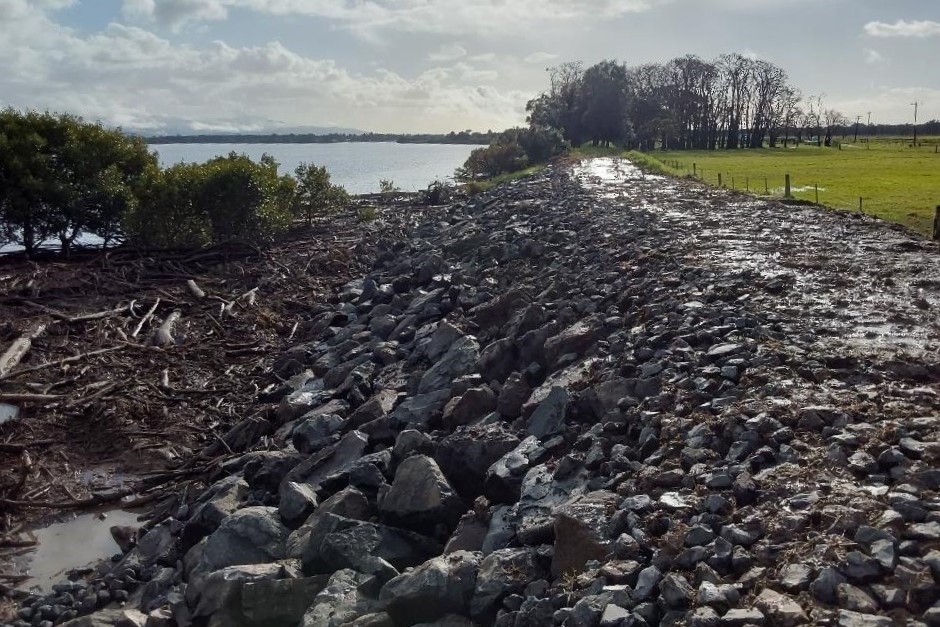 Levees - Comerong Island Rd 3 - Aaron - 4Jul24.jpg