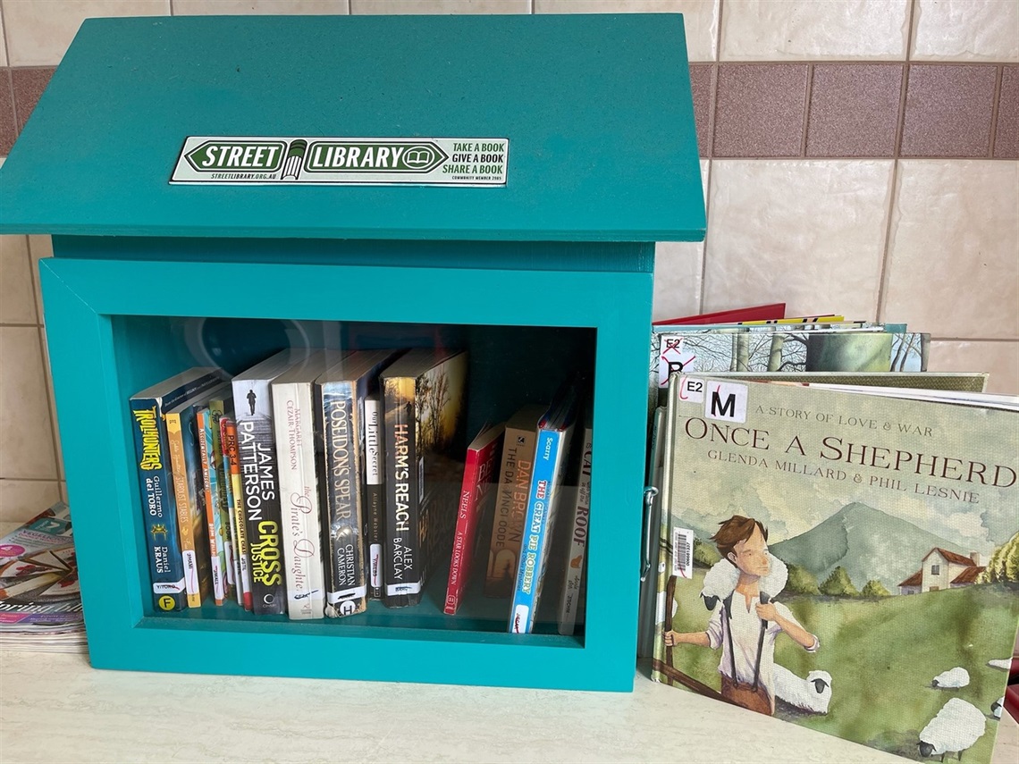Holiday Haven Little Library.jpg
