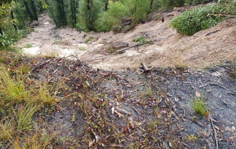 abernethys landslip.JPG