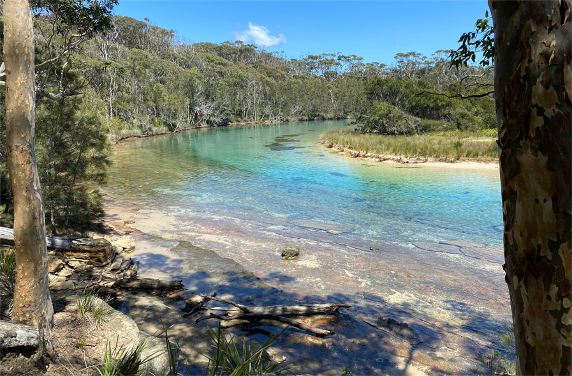 Willinga Lake image