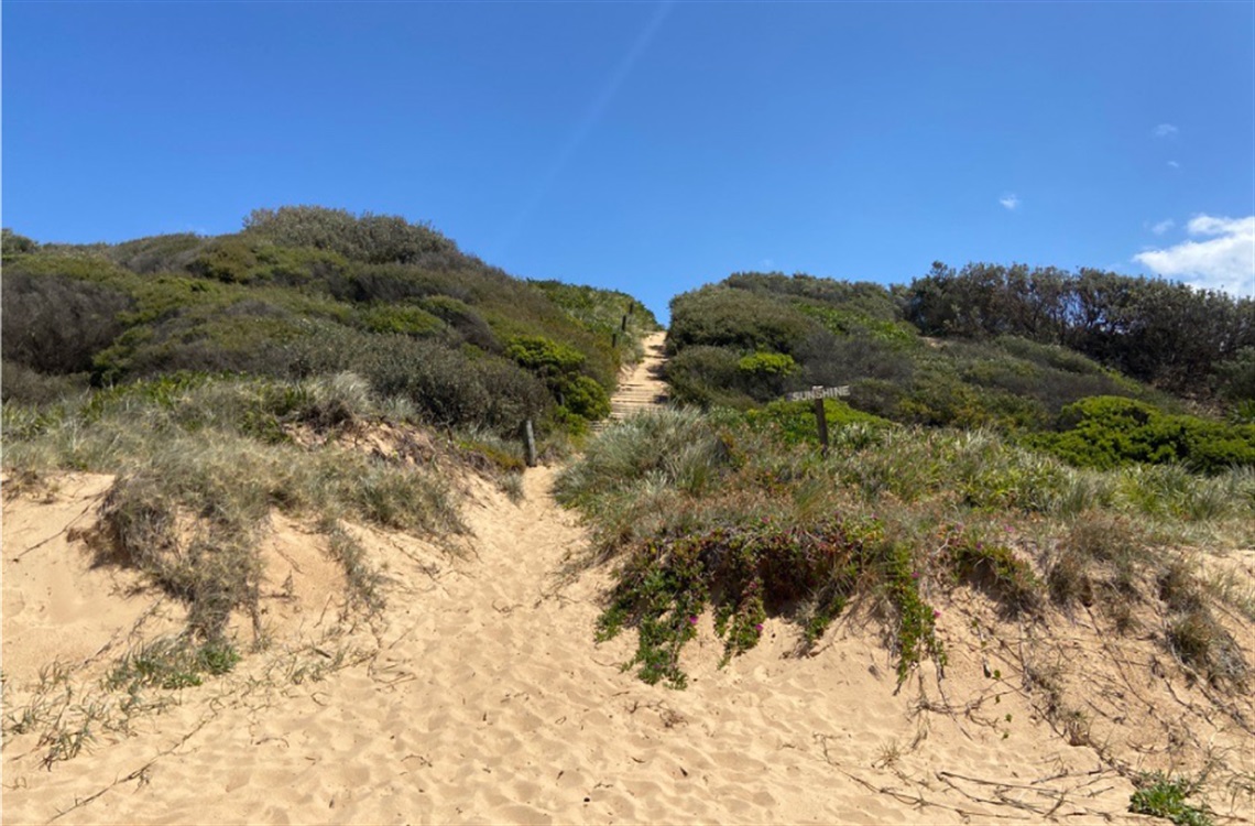 Get-Involved-Square_SCC-website_Foreshore-2022.jpg